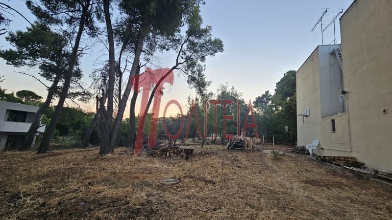 Οικόπεδο στην Δάσος Κουρεμένου, Άγιος Στέφανος — Φωτογραφία 5 από 18