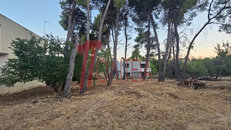 Οικόπεδο στην Δάσος Κουρεμένου, Άγιος Στέφανος — Φωτογραφία 13 από 18