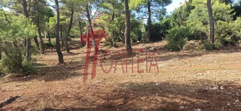 Building Plot in Avgi, Afidnes — Photo 4 of 8