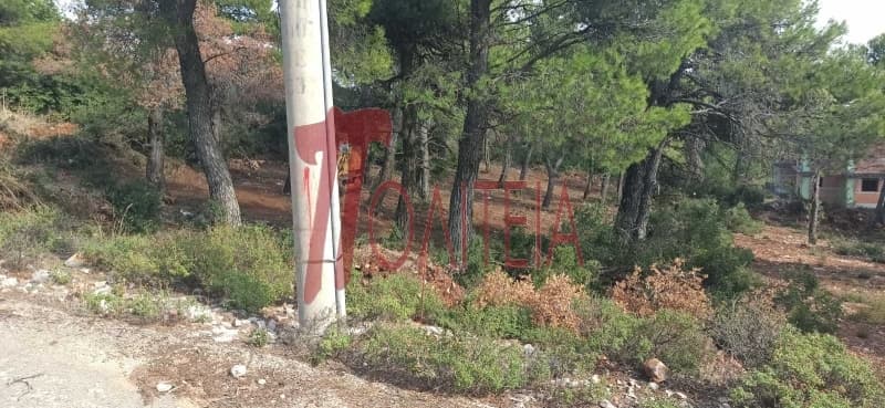 Building Plot in Avgi, Afidnes — Photo 3 of 8