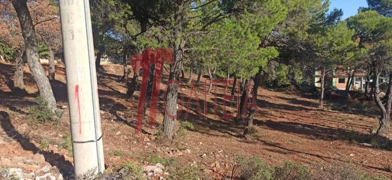 Building Plot in Avgi, Afidnes — Photo 5 of 8
