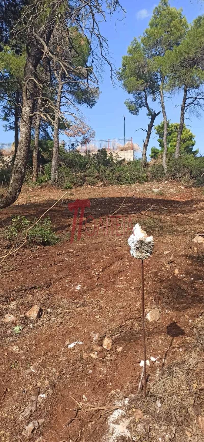 Building Plot in Avgi, Afidnes — Photo 2 of 8