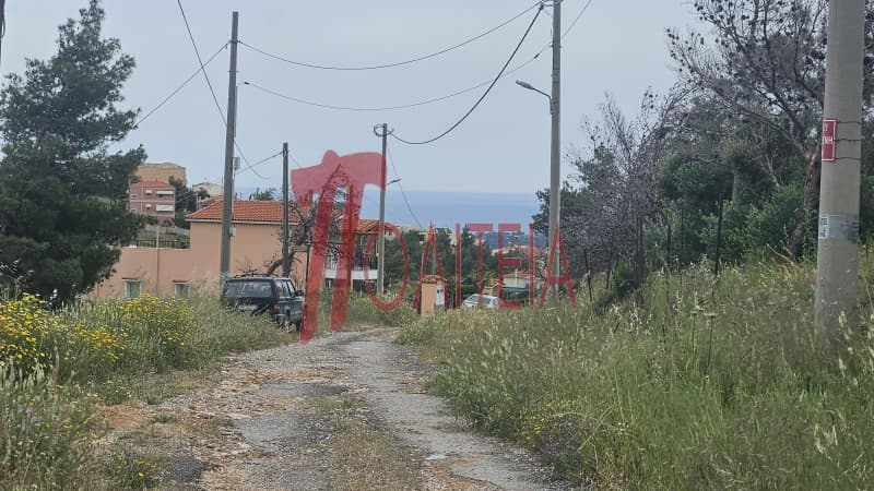 Οικόπεδο στην Δασαμάρι, Πικέρμι — Φωτογραφία 14 από 30