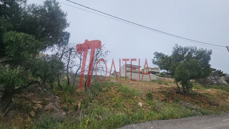 Οικόπεδο στην Δασαμάρι, Πικέρμι — Φωτογραφία 4 από 30