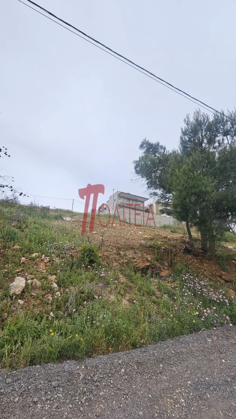 Οικόπεδο στην Δασαμάρι, Πικέρμι — Φωτογραφία 3 από 30