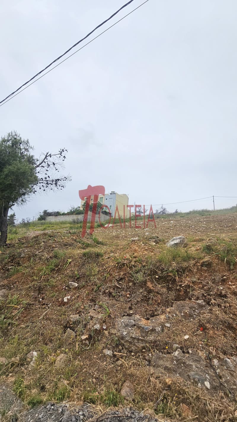 Οικόπεδο στην Δασαμάρι, Πικέρμι — Φωτογραφία 25 από 30