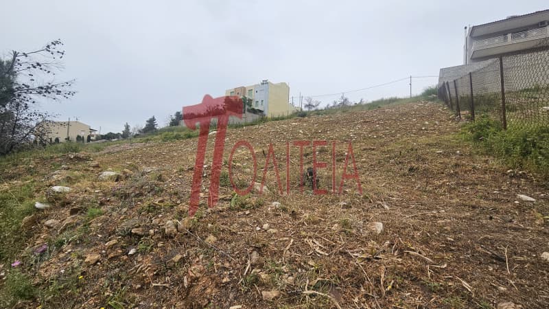Οικόπεδο στην Δασαμάρι, Πικέρμι — Φωτογραφία 16 από 30