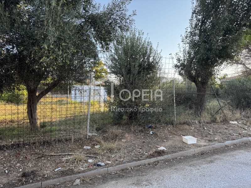Οικόπεδο στην Καλύβια, Καλύβια Θορικού — Φωτογραφία 2 από 3