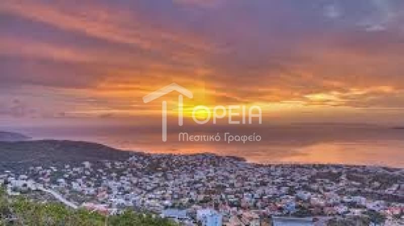 Οικόπεδο στην Σαρωνίδα, Σαρωνίδα