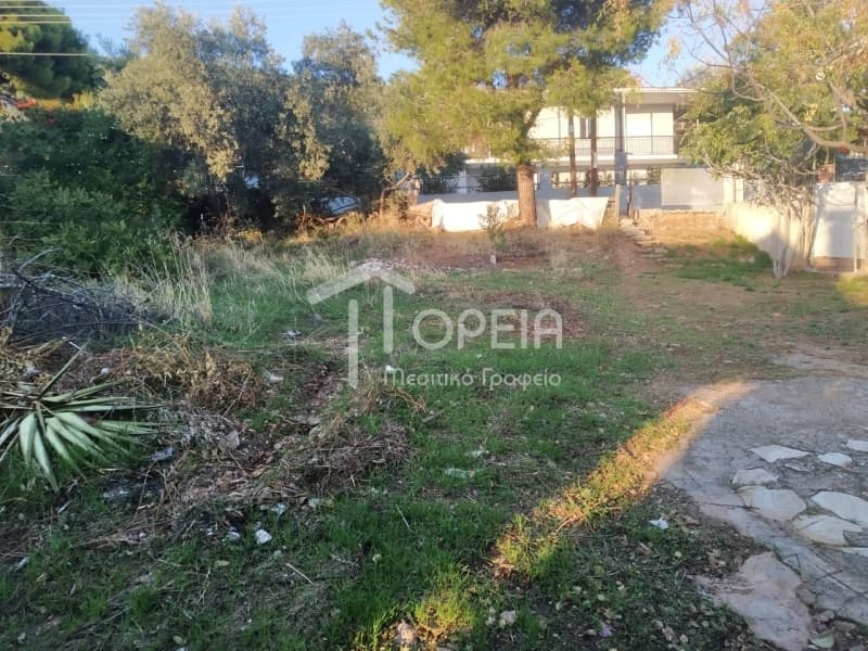 Οικόπεδο στην Γαλάζια ακτή, Καλύβια Θορικού — Φωτογραφία 4 από 5