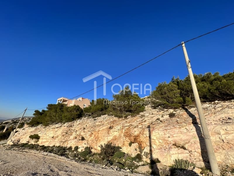 Οικόπεδο στην Σαρωνίδα, Σαρωνίδα — Φωτογραφία 4 από 4