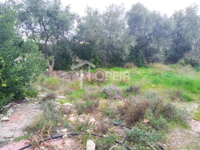 Οικόπεδο στην Γαλάζια ακτή, Καλύβια Θορικού — Φωτογραφία 3 από 9