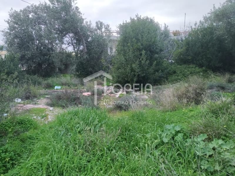 Οικόπεδο στην Γαλάζια ακτή, Καλύβια Θορικού — Φωτογραφία 8 από 9