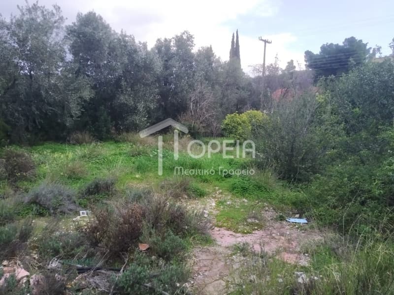 Οικόπεδο στην Γαλάζια ακτή, Καλύβια Θορικού — Φωτογραφία 5 από 9