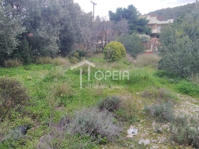 Οικόπεδο στην Γαλάζια ακτή, Καλύβια Θορικού — Φωτογραφία 4 από 9