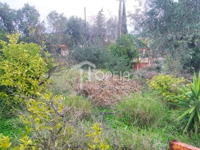 Οικόπεδο στην Γαλάζια ακτή, Καλύβια Θορικού — Φωτογραφία 9 από 9