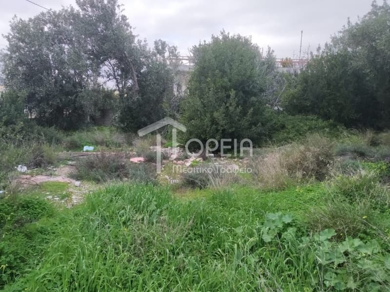 Οικόπεδο στην Γαλάζια ακτή, Καλύβια Θορικού — Φωτογραφία 6 από 9