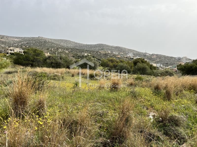 Building Plot in Saronida, Saronida — Photo 5 of 7
