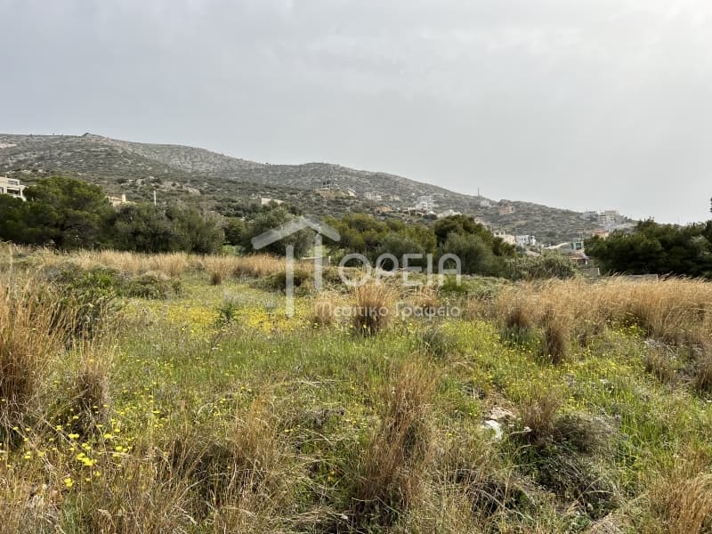 Building Plot in Saronida, Saronida — Photo 3 of 7