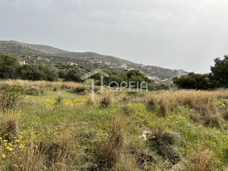 Building Plot in Saronida, Saronida — Photo 7 of 7