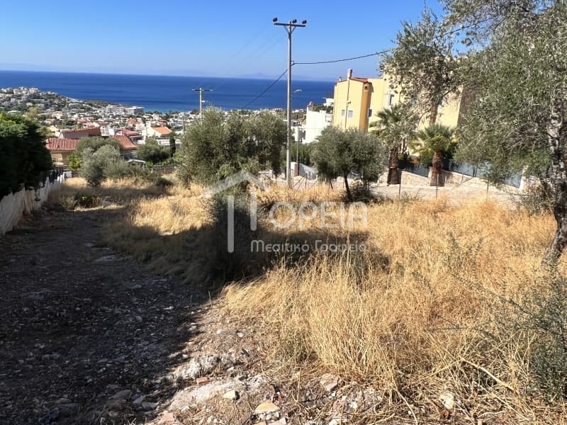 Οικόπεδο στην Σαρωνίδα, Σαρωνίδα — Φωτογραφία 3 από 3