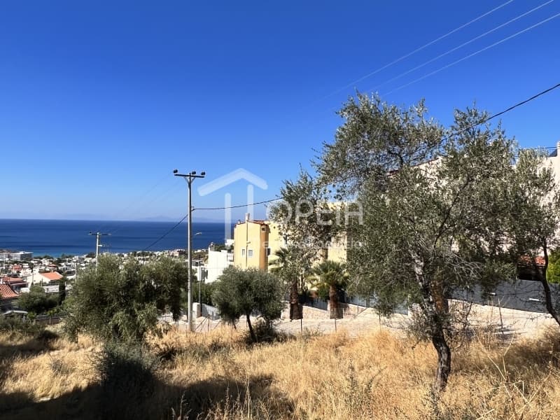 Οικόπεδο στην Σαρωνίδα, Σαρωνίδα — Φωτογραφία 2 από 3