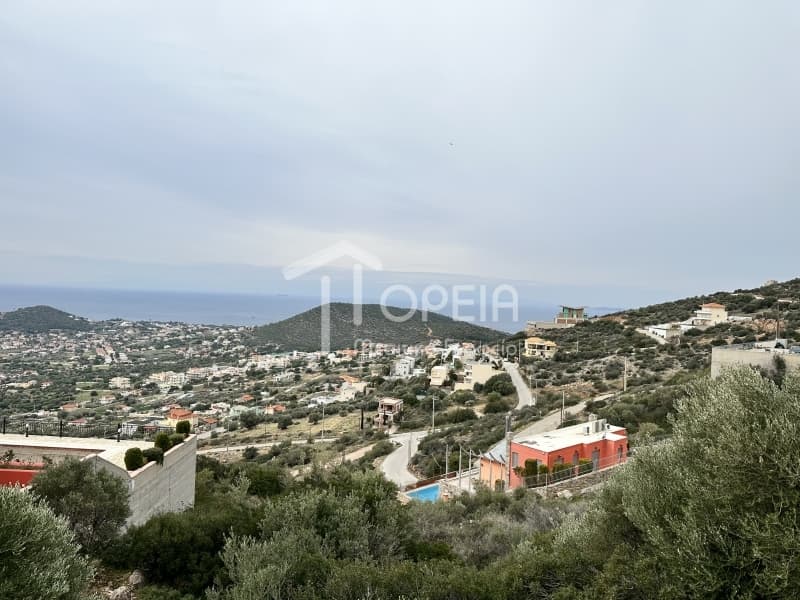 Building Plot in Elaionas, Anavissos — Photo 2 of 4