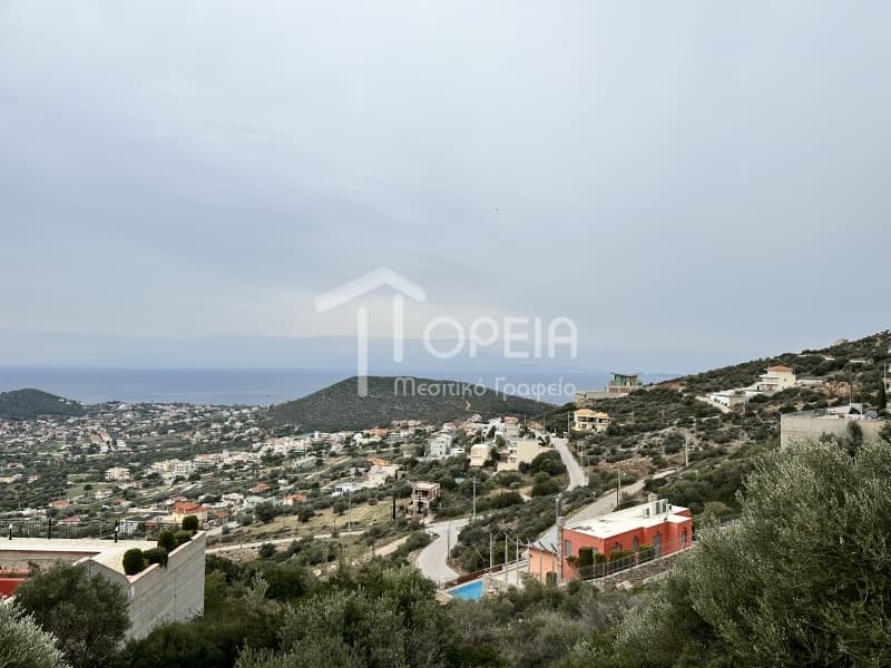 Building Plot in Elaionas, Anavissos — Photo 4 of 4