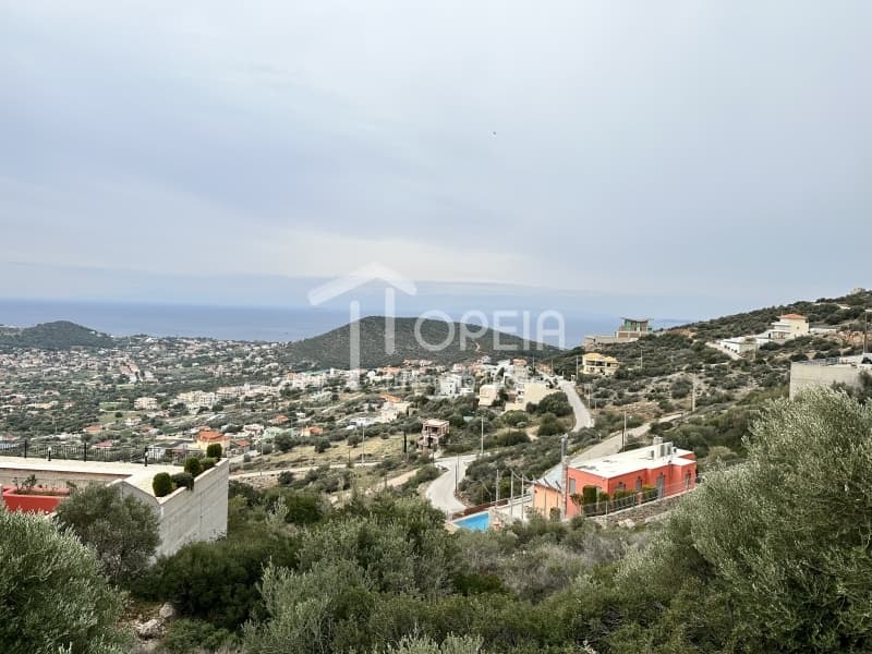 Building Plot in Elaionas, Anavissos — Photo 1 of 4
