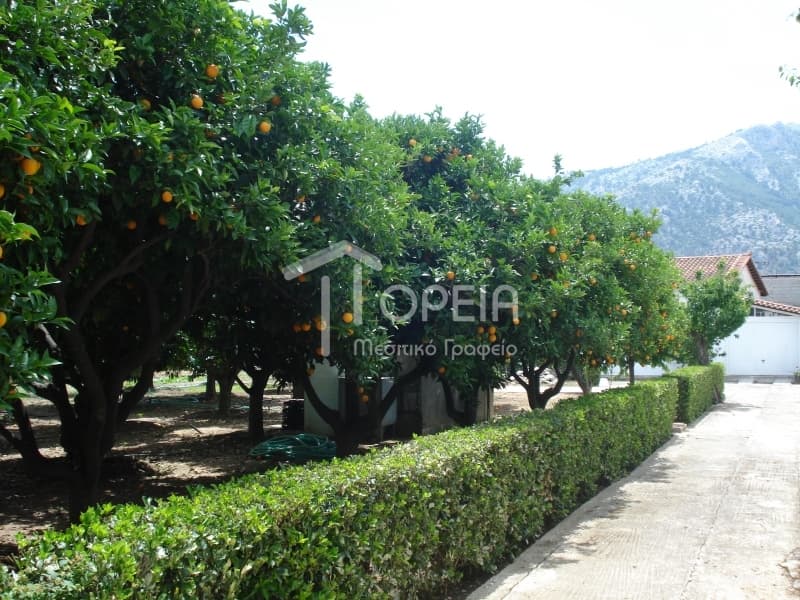 Μονοκατοικία στην Αγία Μαρίνα Νέας Μάκρης, Νέα Μάκρη — Φωτογραφία 26 από 30