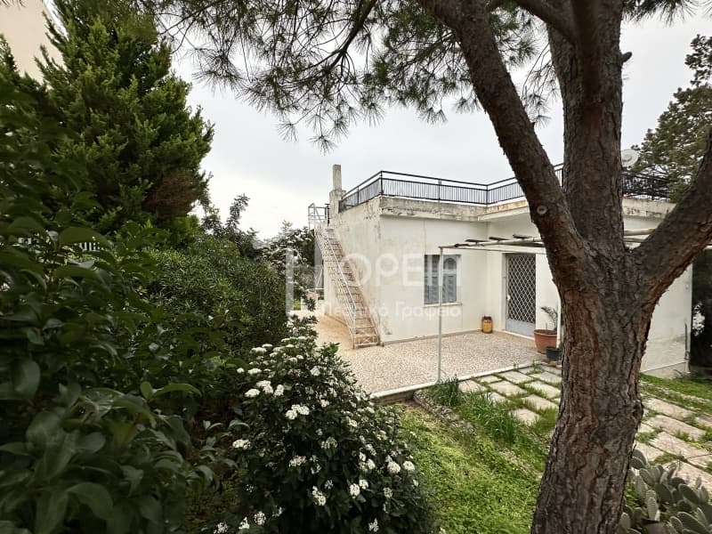 Building Plot in Saronida, Saronida — Photo 3 of 7