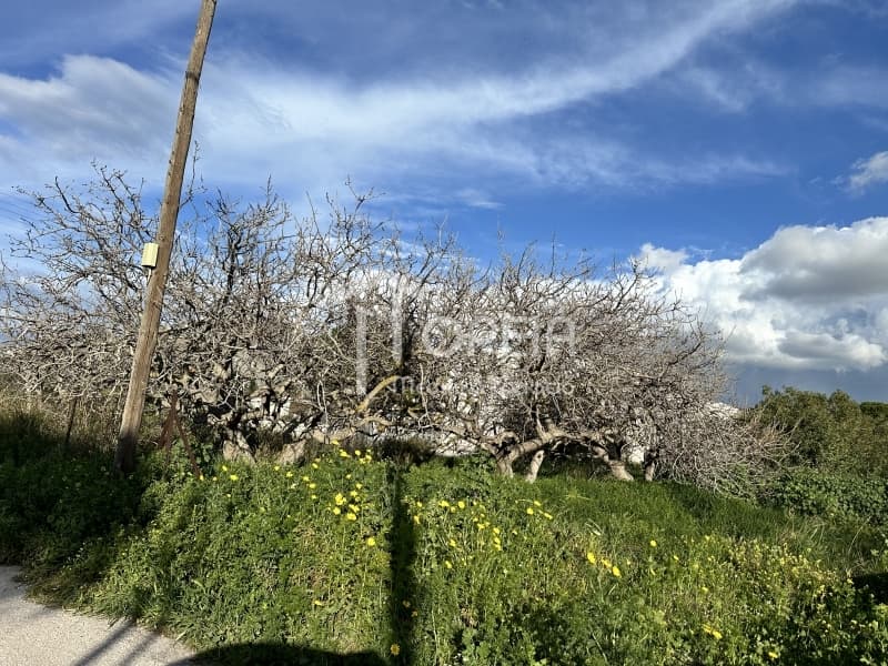 Οικόπεδο στην Καλύβια, Καλύβια Θορικού — Φωτογραφία 2 από 4