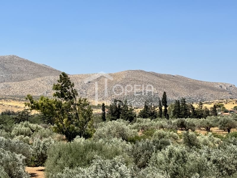 Μονοκατοικία στην Άγιος Παντελεήμονας, Ανάβυσσος — Φωτογραφία 28 από 30