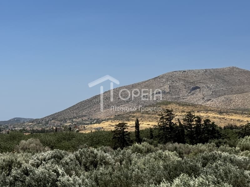 Μονοκατοικία στην Άγιος Παντελεήμονας, Ανάβυσσος — Φωτογραφία 29 από 30