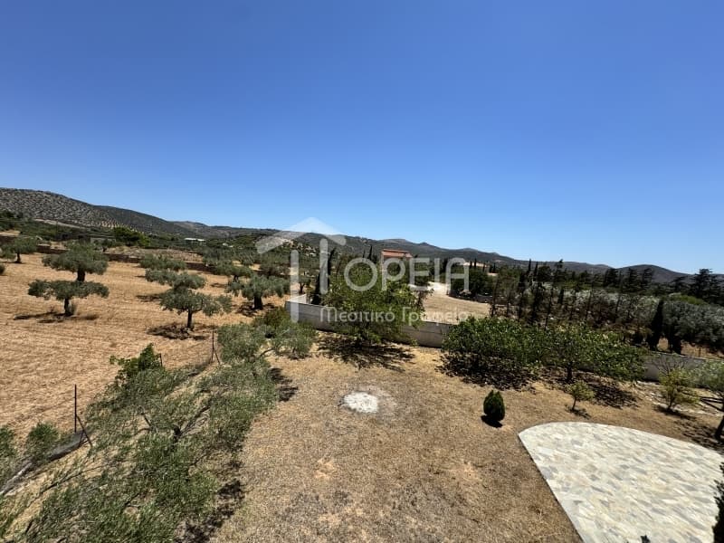 Μονοκατοικία στην Άγιος Παντελεήμονας, Ανάβυσσος — Φωτογραφία 22 από 30