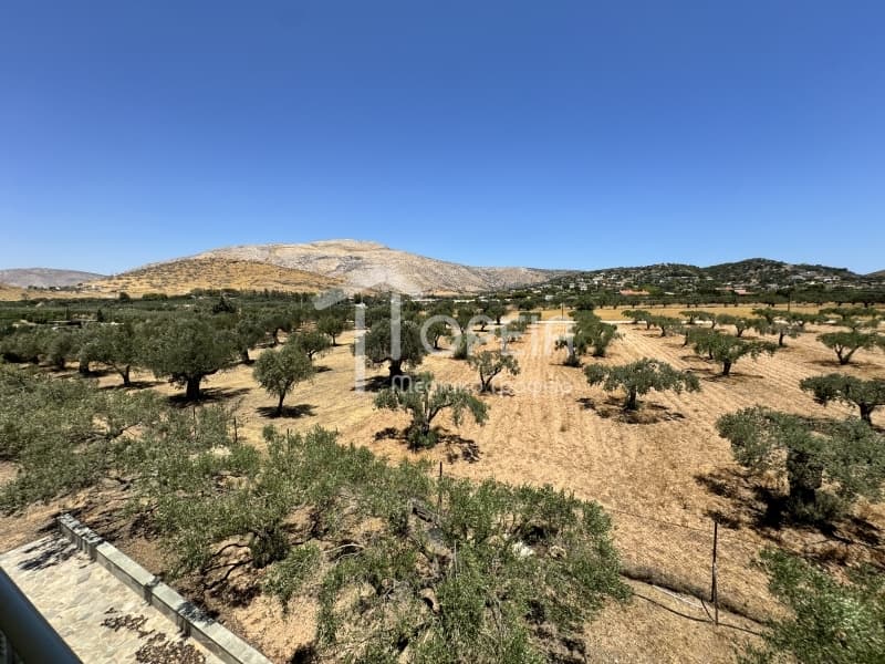 Μονοκατοικία στην Άγιος Παντελεήμονας, Ανάβυσσος — Φωτογραφία 24 από 30