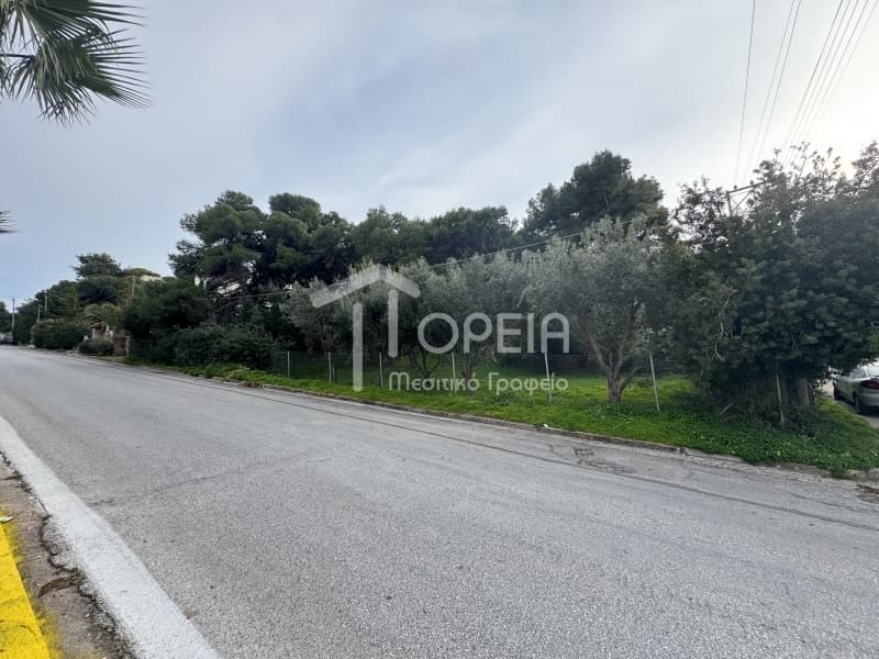 Οικόπεδο στην Σαρωνίδα, Σαρωνίδα — Φωτογραφία 5 από 7