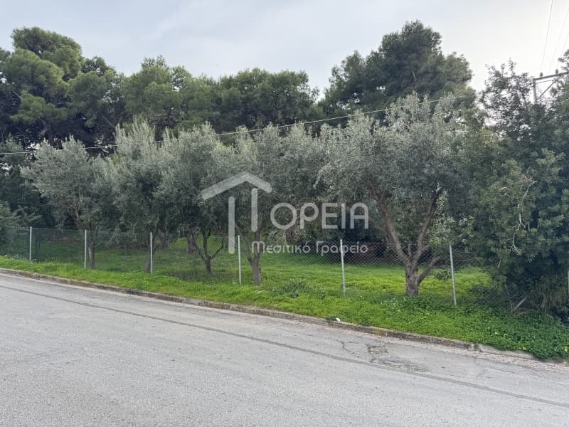Οικόπεδο στην Σαρωνίδα, Σαρωνίδα — Φωτογραφία 4 από 7