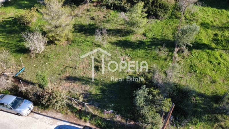 Οικόπεδο στην Σαρωνίδα, Σαρωνίδα — Φωτογραφία 8 από 10