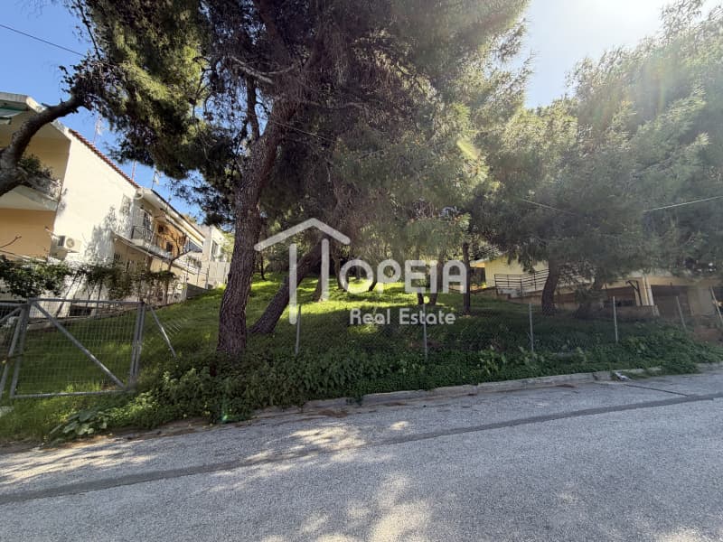 Οικόπεδο στην Σαρωνίδα, Σαρωνίδα — Φωτογραφία 5 από 6