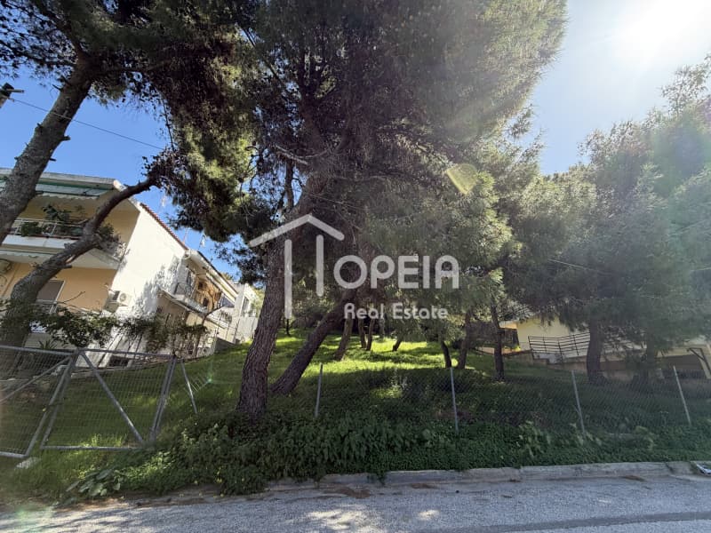 Οικόπεδο στην Σαρωνίδα, Σαρωνίδα — Φωτογραφία 2 από 6