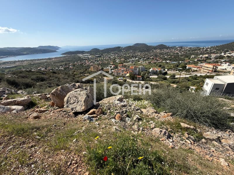 Building Plot in Elaionas, Anavissos — Photo 14 of 14
