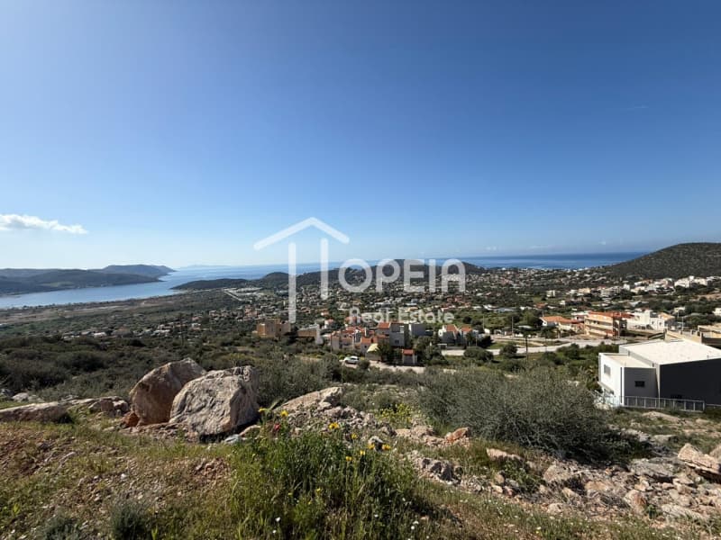 Building Plot in Elaionas, Anavissos — Photo 11 of 14