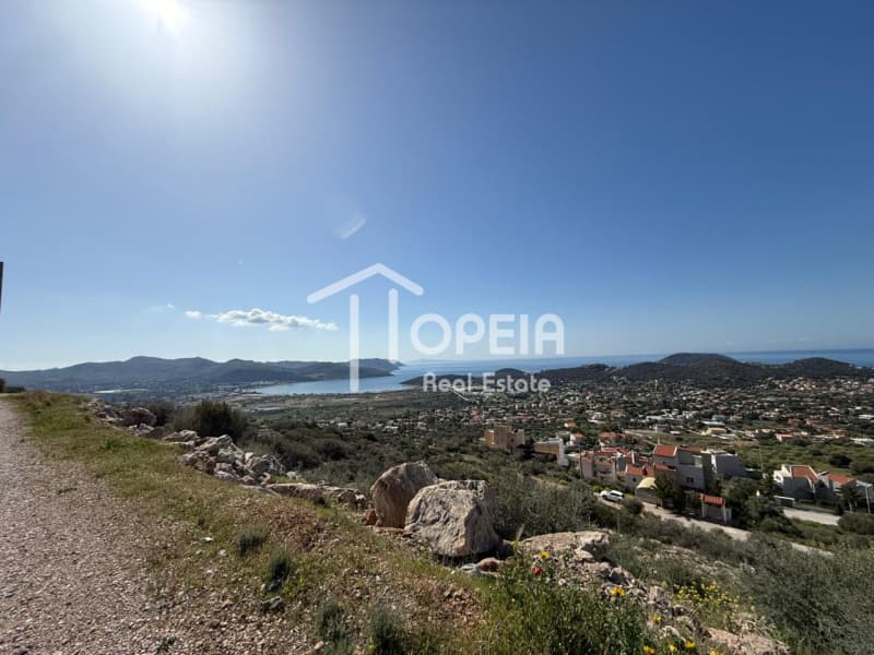 Building Plot in Elaionas, Anavissos — Photo 5 of 14