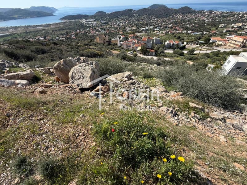 Building Plot in Elaionas, Anavissos — Photo 6 of 14