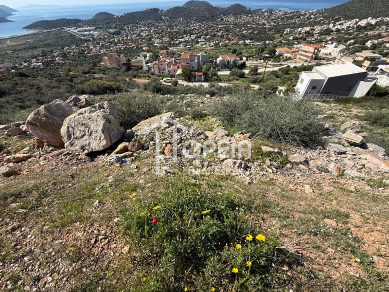 Building Plot in Elaionas, Anavissos — Photo 13 of 14