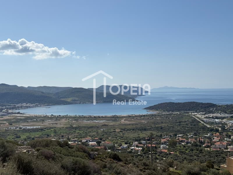 Building Plot in Elaionas, Anavissos — Photo 1 of 14