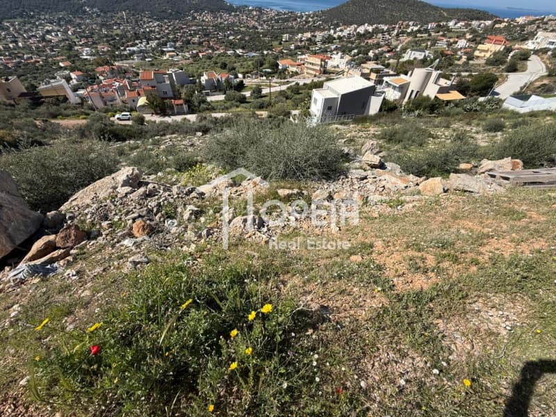 Building Plot in Elaionas, Anavissos — Photo 9 of 14