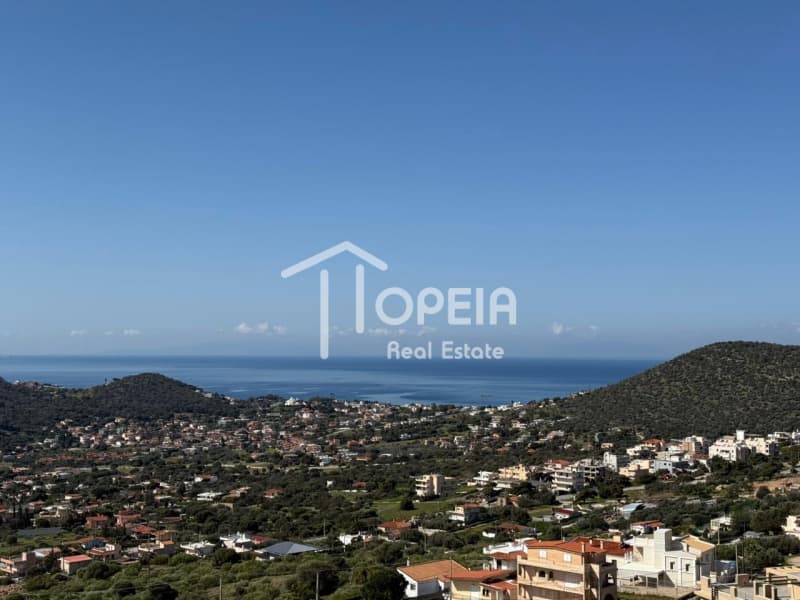 Building Plot in Elaionas, Anavissos — Photo 3 of 14