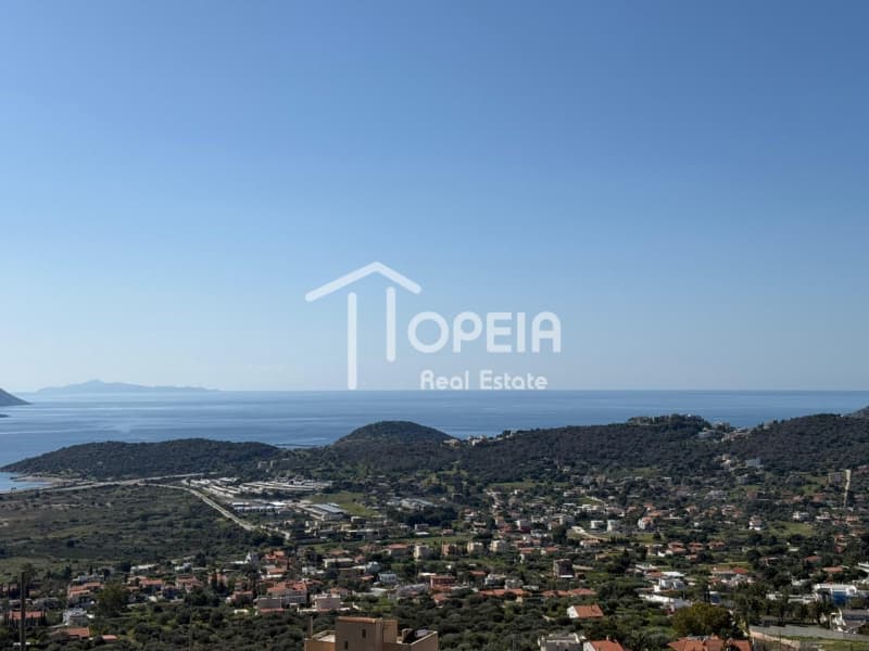 Building Plot in Elaionas, Anavissos — Photo 7 of 14